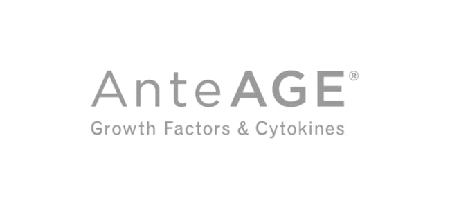 AnteAGE