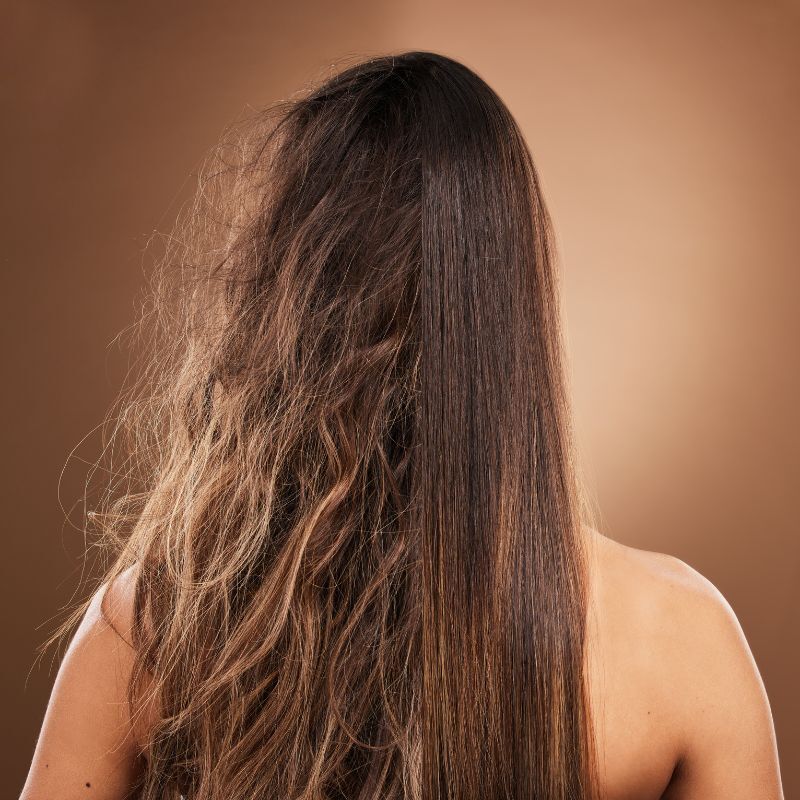 Damaged Hair