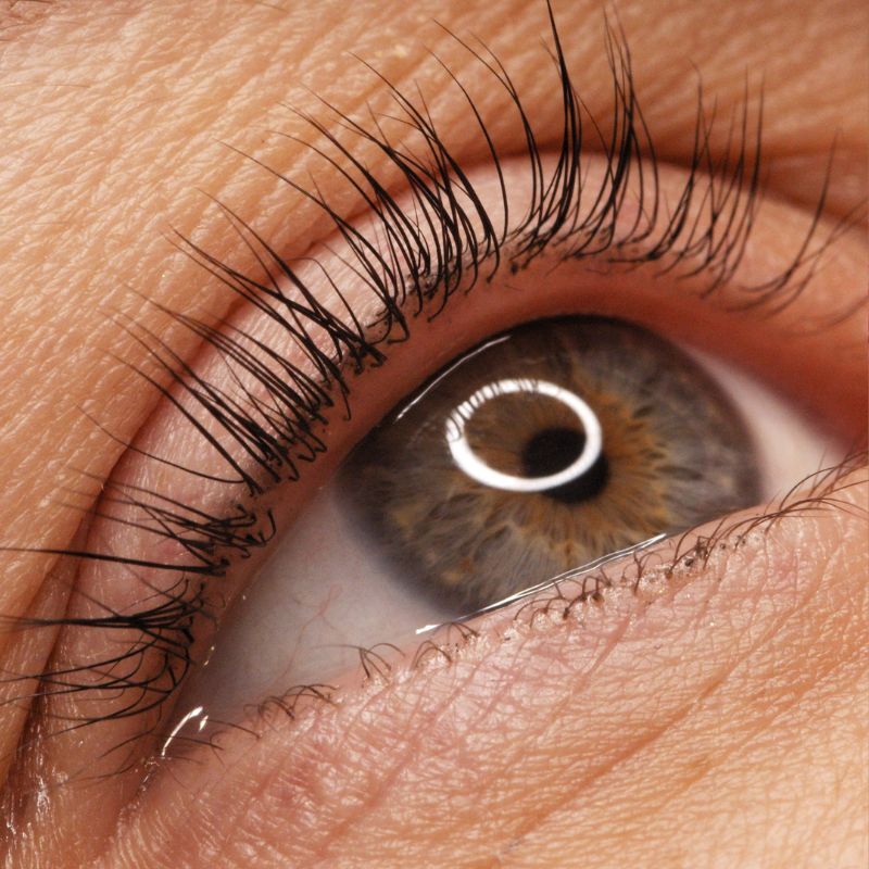 Eyelashes