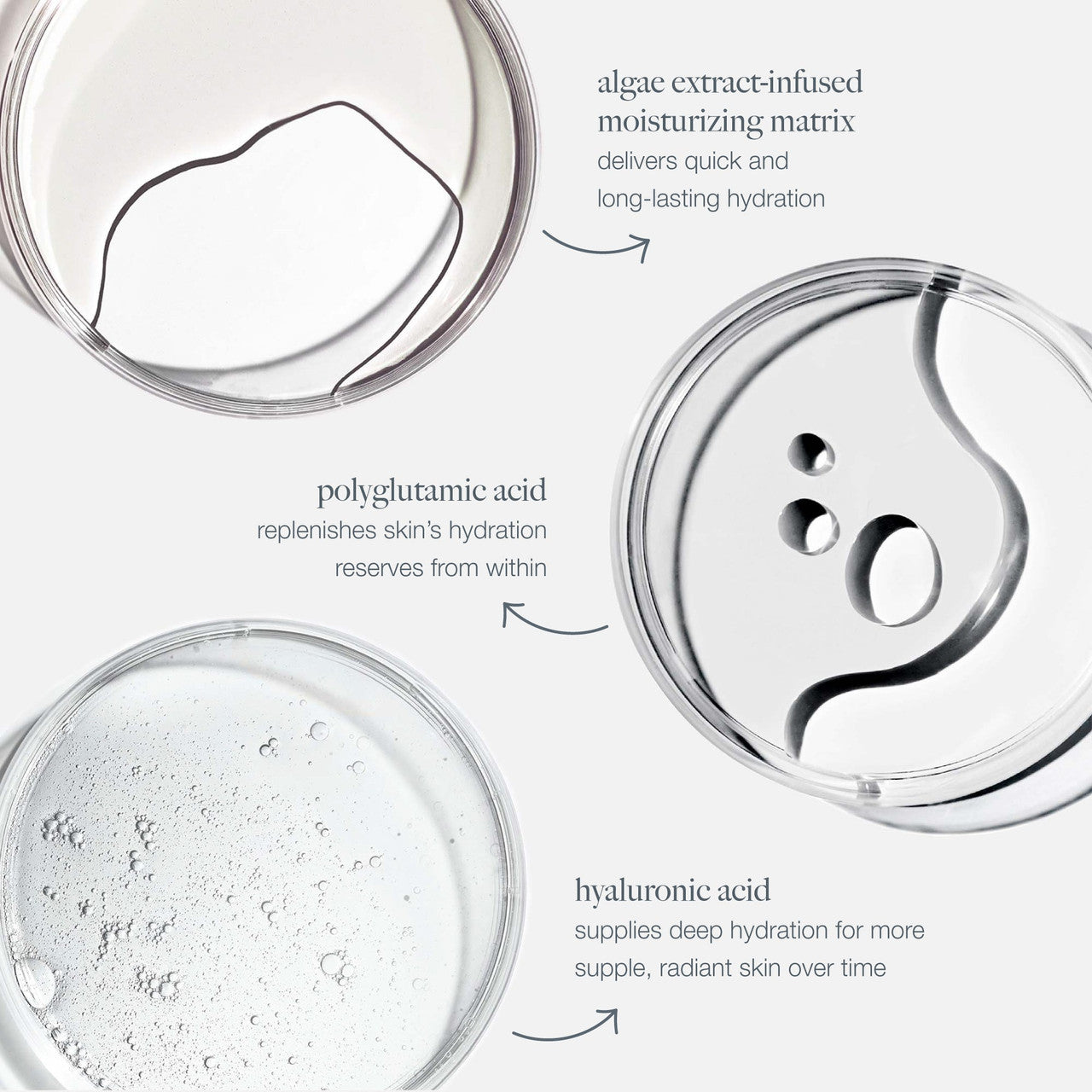 Dermalogica Circular Hydration Serum Information