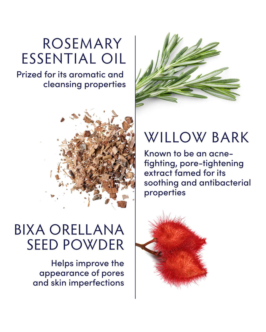 Naturopathica Rosemary & Willow Bark Moisturizer 1.7 fl oz - SkinElite - ingredients