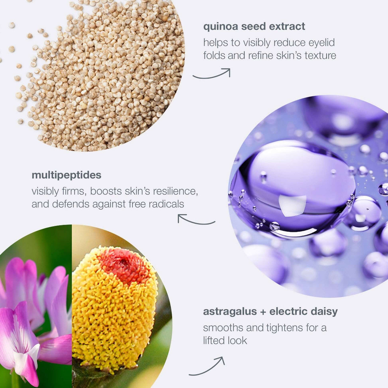 Dermalogica Phyto Nature Lifting Eye Cream 0.5 oz - SkinElite - ingredients