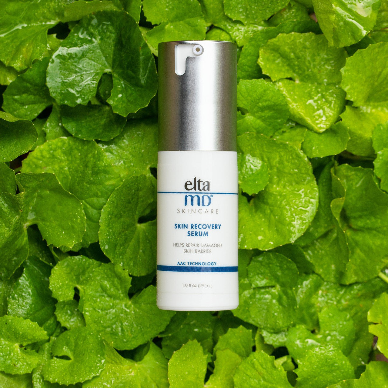 EltaMD Skin Recovery Serum on Leaves