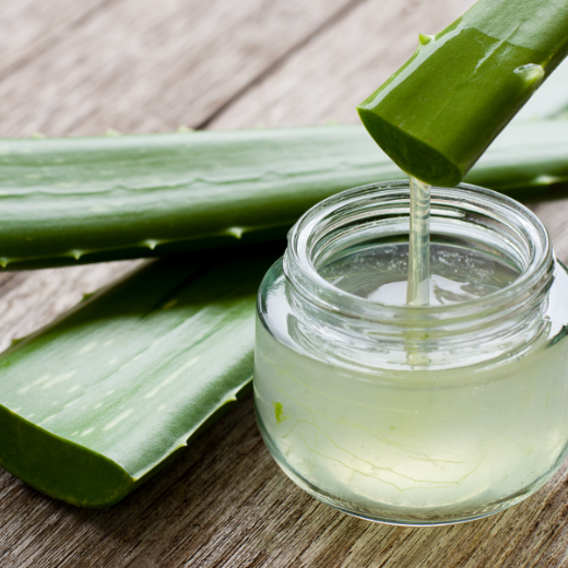 Aloe Vera Ingredient in Body Washes for Skin Care