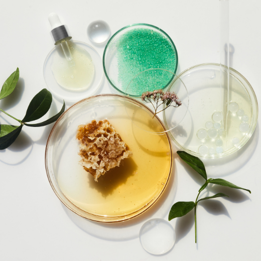 Nature’s Touch: The Therapeutic Effect