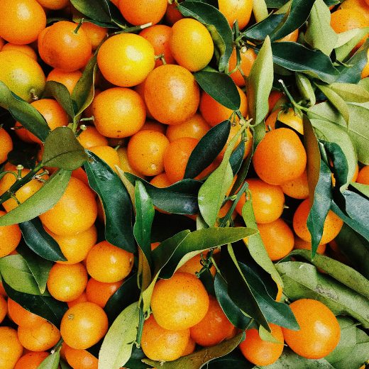 Vitamin C rich citrus fruits that support hyaluronic acid production