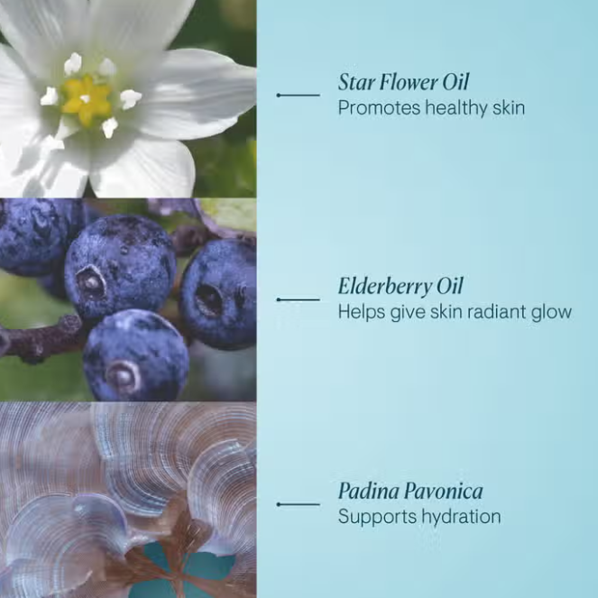 Elemis Key Product Ingredients 