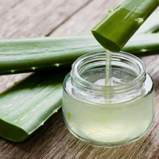 Aloe Vera in skin care products offers relief for sunburned skin